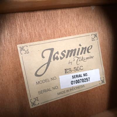 Takamine Jasmine ES-50c Acoustic/Electric Bass & Gigbag image 4