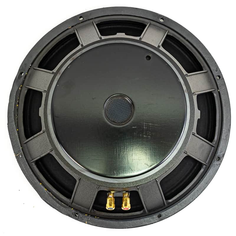 Eminence 15” Professional Audio Speaker – Made in USA | MSPK151769 / 151947 image 1