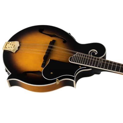 Ortega RMFE90TS F-Style Series Solid Spruce Top Maple Neck 8-String Acoustic-Electric Mandolin w/Deluxe Gig Bag image 10