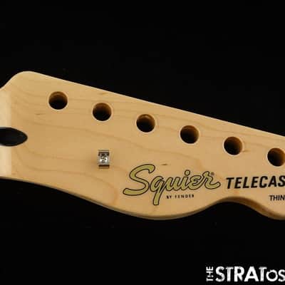 Fender Squier Affinity Series Telecaster Thinline NECK, Tele Maple image 1