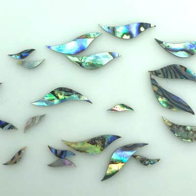 Immagine Set of 20 Fretboard Inlays - Abalone - 2