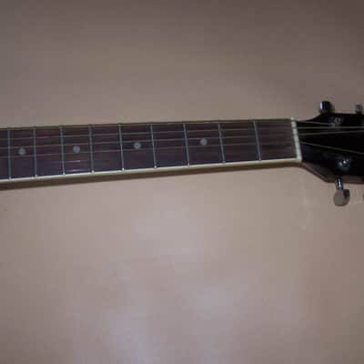 RARE Tyler Mountain TM10-BK Late 90's-2000 Acoustic Guitar VG Condition w/Gigbag image 8