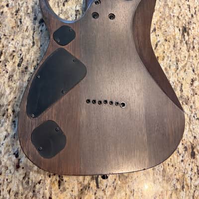 Ibanez RGD71ALPA-CKF Axion Label 2022 - Charcoal Burst Black Stained Flat - BARE KNUCKLE AFTERMATHS image 12