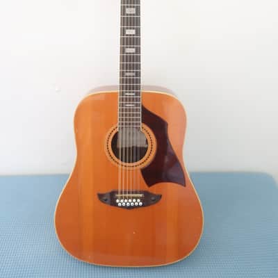 Vintage 1960's Eko Rio Bravo XII Made in Italy 12 String Acoustic Guitar Works Great Solid Player Low Action Sounds Huge Vox image 5