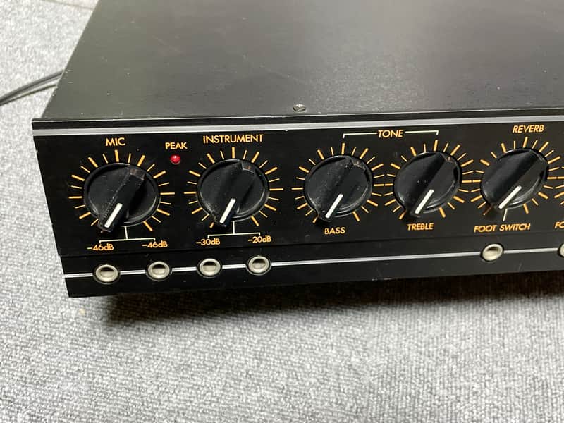 Evans Echopet EP-250 BBD Analog Delay, Spring reverb | Reverb Belgium