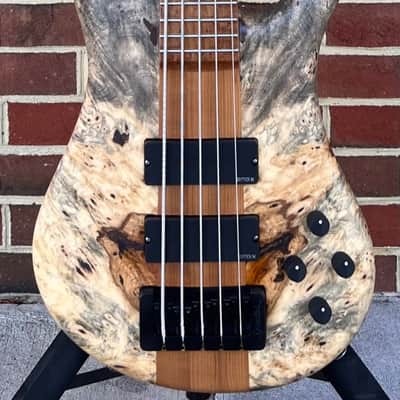 Spector USA NS-5XL, The Music Loft 30th Anniversary, Buckeye Burl Top, Reclaimed Redwood Body, Roasted Maple Neck, Roasted Birdseye Maple Fretboard, Ebony Inlays, Matching Headstock, EMG 40DCX Pickups, HAZ 9v, TSA Case image 2