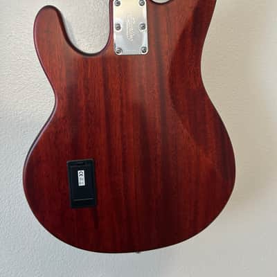Sterling SUB StingRay Ray4 2018 - Present - Walnut Satin image 6