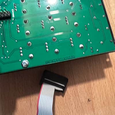 First run Make Noise Pressure Points Eurorack Black & Gold image 10