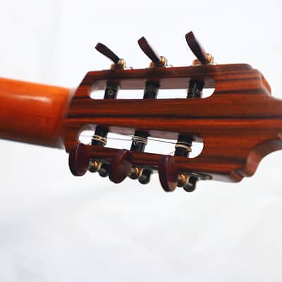 Jose Salinas 2019 "Negra" Flamenco Guitar - Exceptionally good sounding Guitar – Powerful & Expressive - Check Video! image 9