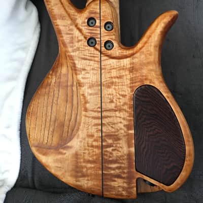Prana custom bass PC-Buckeye burl 5str.  2014 Clear image 5