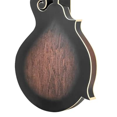 Gold Tone F-6/L Solid Spruce Top Maple Neck F-Style 6-String Mandolin-Guitar w/Piezo Pickup & Case For Left Handed Players image 3