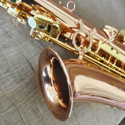 Monique Pro Series Alto Saxophone (SELMER/BUFFET CLONE) 1990s - Copper & Brass image 20