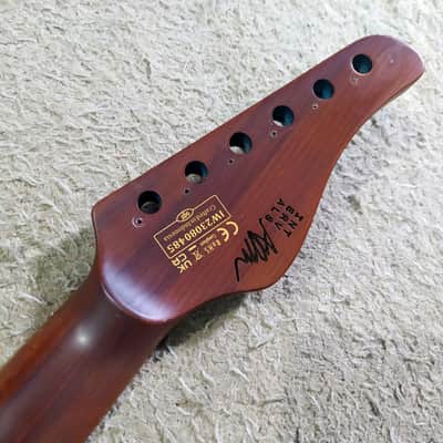 Schecter Aaron Marshall AM-6 (Guitar Neck) image 9