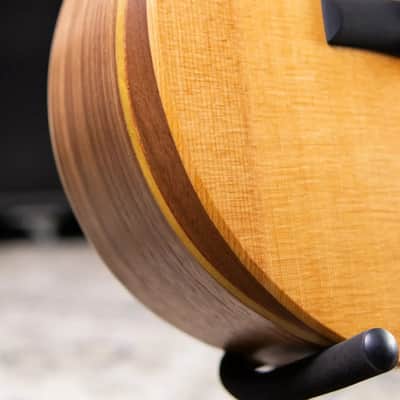 Taylor Academy 12e-N Nylon Grand Concert Acoustic/Electric Guitar with Gig Bag image 14