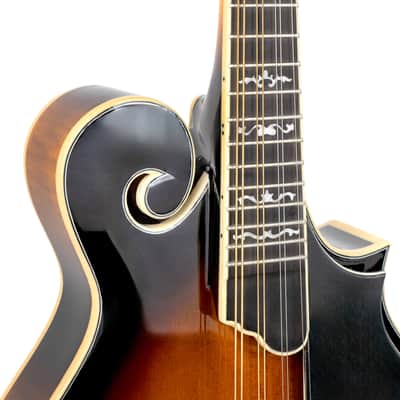 Gold Tone GM-70+ Professional Craved Solid Spruce Top Maple Neck F-Style 8-String Mandolin w/Hard Case image 6