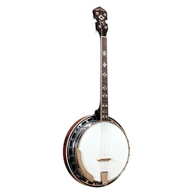 Gold Tone TS-250 Professional 4-String Tenor Banjo image 2