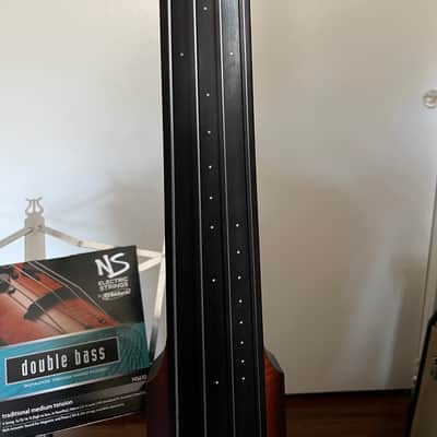 NS Designs NXT4 bass 2000's - passive image 6