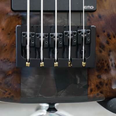 Modulus Graphite Q5 TBX 2022 - Black redwood burl image 9