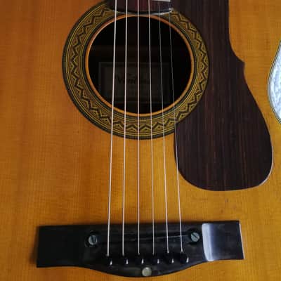 Ventura Bruno V-12 Acoustic Guitar Vintage - Made in Japan (See Video) image 8