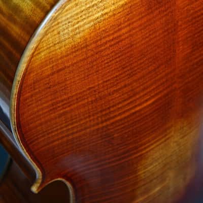 Professional song maestro 5 Strings Cello 4/4, Stradivarius Model. Good Sound , Beautiful Cello image 8
