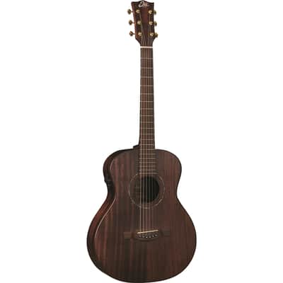 Eko Guitars Marco Polo MM image 1