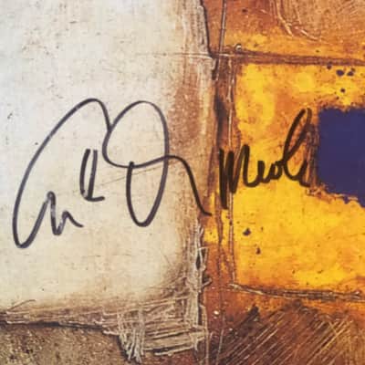 Al Di Meola Orange and blue signed vinyl image 2