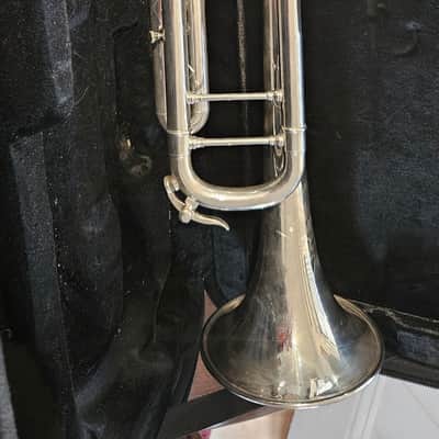 Shires Q10 2019 - Silver Plate - Immaculate image 2