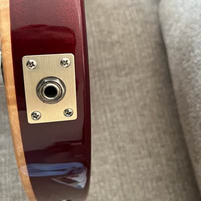 PRSCore Mark Tremonti Signature Tremolo 2010 Black Cherry image 21