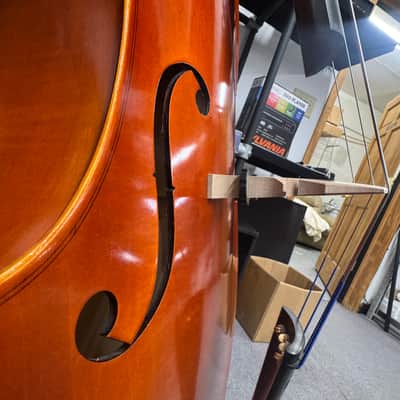 Eastman Strings. 3/4 Upright Bass. Concert Model.(Paige's)(2023)(Outfit) image 13