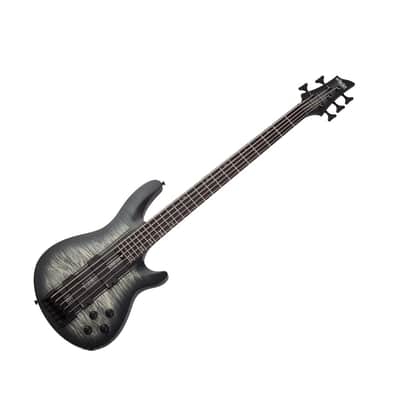 Schecter C-5 GT