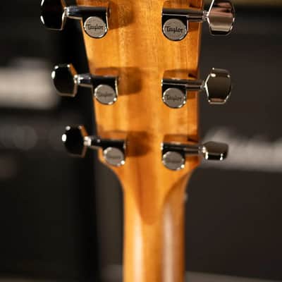 Taylor 210ce Plus Dreadnought Acoustic/Electric Guitar with Aerocase image 6