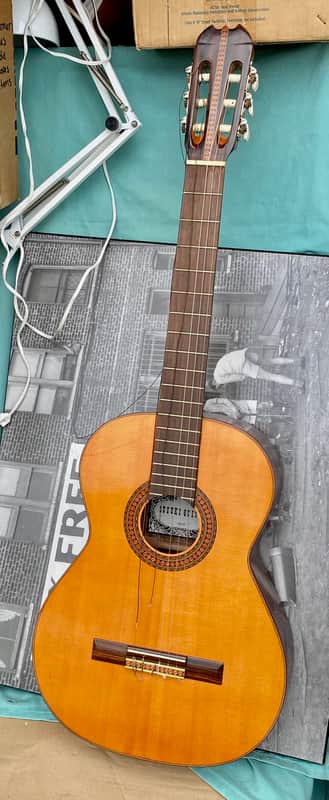 Suzuki No. 10 Classical Guitar image 1