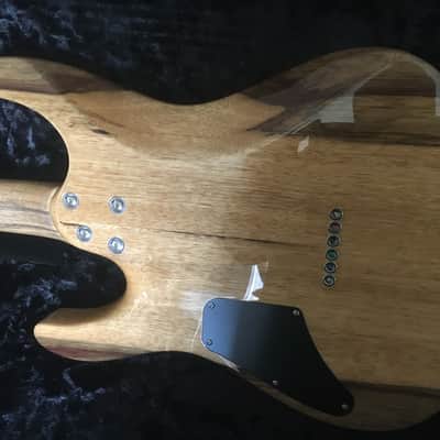 Suhr Modern 2015 Algae image 3