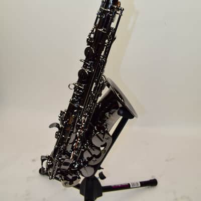 Cannonball A4 Big Bell Stone Series Standard Alto Saxophone, Polished Black Nickel w/ Case image 2