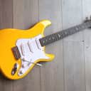 PRS "SE John Mayer Silver Sky Dandy Lion" GIGBAG, 3, 35 KG