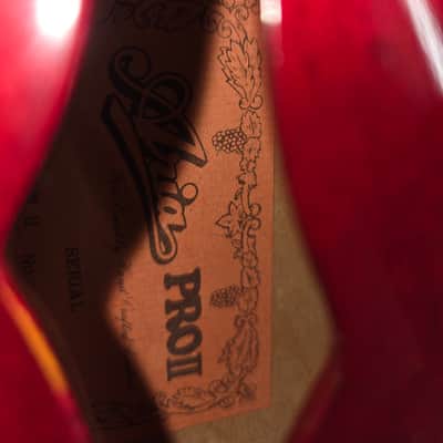 Aria Pro II ES700WR 70's - Wine Red image 8