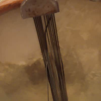 Leedy Rare early parallel strainder snare drum single tension 1910s Bild 12