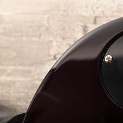 Gibson Slash Les Paul Standard, November Burst | Demo image 15