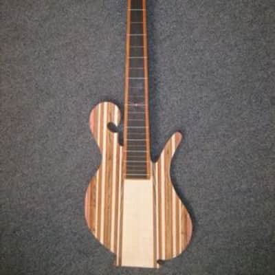 2006 Carl Thompson Rainbow 6-string Fretless Bass image 15