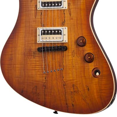 Schecter Avenger Exotic Spalted Maple image 1