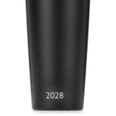 DPA 2028 Supercardioid Condenser Handheld Vocal Microphone with Wired DPA Handle image 2
