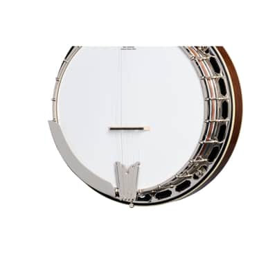 Epiphone Mastertone Classic Banjo Natural - Banjo image 5