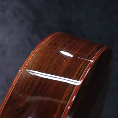 Cort Gold-A10 Cocobolo Torrefied Spruce Top Acoustic Electric Guitar w/Case image 14