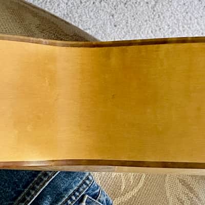 Sherwood Archtop Acoustic Guitar Husk Circa 1950 image 6