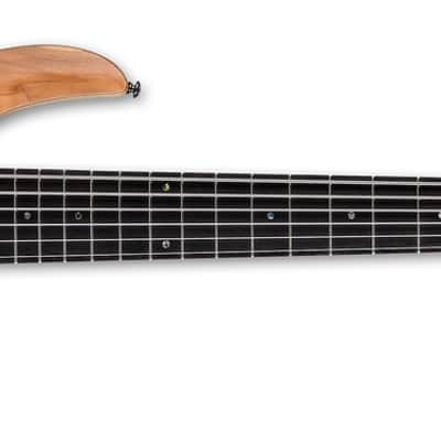 ESP LTD B-206SM Bass in Natural Satin image 3