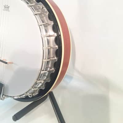 Danville 5-String Banjo-Model BJ30-30 Brackets-NEW-Shop Setup Included! image 3