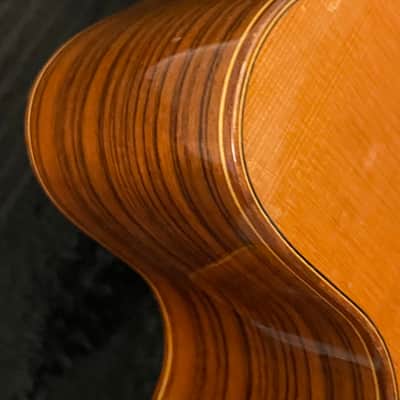 Manuel Raimundo Hand Built N660-E  Acoustic ( Bone saddle & Nut ) 3steel+3 Nylon Strings Flamenco Classical 1980's to 2000's  - Thin Gloss Coate image 1
