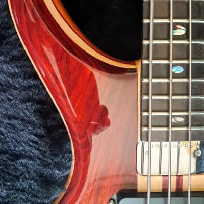 Alembic Darling 2023 - polyester image 4