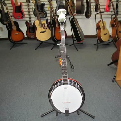 Washburn Americana B16 5-string Resonator Banjo - Tobacco Sunburst with Hard Case image 2
