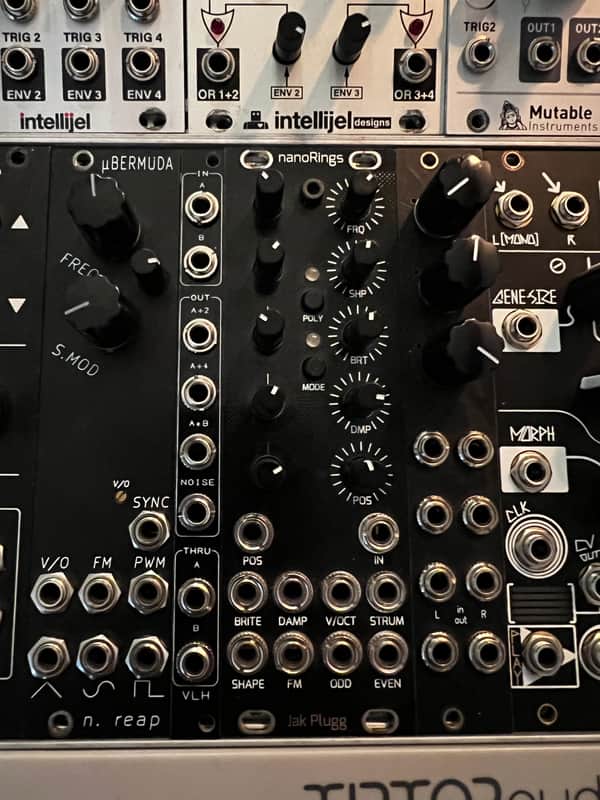 JakPlug Mutable Instruments clone nRings image 1